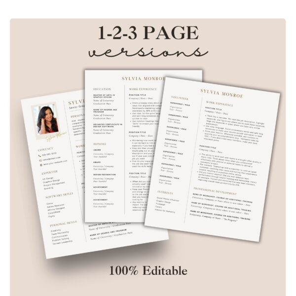 marketing resume template script worksheet brand kit canva template professional resume creative cv template brand design logo resume description - Image 5